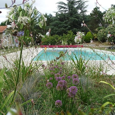 Villa Entiere Du Chateau Lacroix De Civrac 3 Ch, 3 Sdb, Piscine Xxl,Sauna, 4 Etoiles,7 Pers Exteriör bild